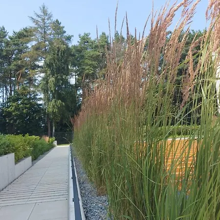 Mare , Ulica Szczecińska 21 Nr 3