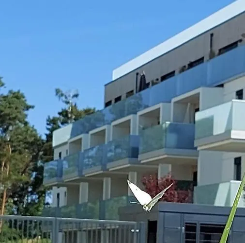 Mare , Ulica Szczecinska 21 Nr 3 * רבאל